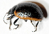  ( - MIS_LEM_MS_0000110)  @11 [ ] Unspecified (default): All Rights Reserved  Unspecified Unspecified