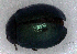  ( - MIS_LEM_MS_0000154)  @12 [ ] Unspecified (default): All Rights Reserved  Unspecified Unspecified