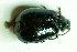  ( - MIS_LEM_MS_0000186)  @12 [ ] Unspecified (default): All Rights Reserved  Unspecified Unspecified