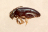  ( - MIS_LEM_MS_0000242)  @12 [ ] Unspecified (default): All Rights Reserved  Unspecified Unspecified
