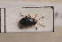  ( - MIS_LEM_MS_0000372)  @11 [ ] Unspecified (default): All Rights Reserved  Unspecified Unspecified