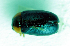  ( - MIS_LEM_MS_0000431)  @12 [ ] Unspecified (default): All Rights Reserved  Unspecified Unspecified