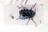  ( - MIS_LEM_MS_0000484)  @13 [ ] Unspecified (default): All Rights Reserved  Unspecified Unspecified