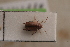  ( - MIS_LEM_MS_0000490)  @13 [ ] Unspecified (default): All Rights Reserved  Unspecified Unspecified
