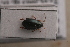  ( - MIS_LEM_MS_0000647)  @13 [ ] Unspecified (default): All Rights Reserved  Unspecified Unspecified