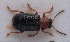  ( - MIS_LEM_MS_0000770)  @12 [ ] Unspecified (default): All Rights Reserved  Unspecified Unspecified