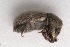 ( - MIS_LEM_MS_0000777)  @12 [ ] Unspecified (default): All Rights Reserved  Unspecified Unspecified