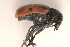  ( - MIS_LEM_MS_0000781)  @12 [ ] Unspecified (default): All Rights Reserved  Unspecified Unspecified