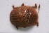  ( - MIS_LEM_MS_0000898)  @13 [ ] Unspecified (default): All Rights Reserved  Unspecified Unspecified