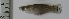  ( - ECO-CH-P5474B)  @14 [ ] Unspecified (default): All Rights Reserved  Unspecified Unspecified