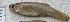  ( - ECO-CH-P5482A)  @12 [ ] Unspecified (default): All Rights Reserved  Unspecified Unspecified