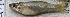  ( - ECO-CH-P5482B)  @12 [ ] Unspecified (default): All Rights Reserved  Unspecified Unspecified