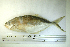  ( - MX718)  @13 [ ] Unspecified (default): All Rights Reserved  Unspecified Unspecified