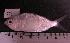  ( - MX770)  @14 [ ] Unspecified (default): All Rights Reserved  Unspecified Unspecified
