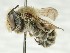  ( - CCDB-49424_F07)  @11 [ ] by  Cory Sheffield Royal Saskatchewan Museum