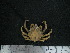  ( - UNMDP MEJ 035)  @11 [ ] CreativeCommons - Attribution Non-Commercial Share-Alike (2014) Unspecified Laboratorio de Zoología de Invertebrados
