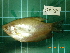  ( - CMGG-2012-448)  @13 [ ] CreativeCommons - Attribution Non-Commercial Share-Alike (2013) CMGG CMGG