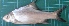  ( - CMGG-2013-1526)  @11 [ ] CreativeCommons - Attribution Non-Commercial Share-Alike (2015) CMGG CMGG