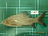  ( - CMGG-2012-363)  @13 [ ] CreativeCommons - Attribution Non-Commercial (2013) CMGG CMGG