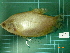  ( - CMGG-2012-395)  @13 [ ] CreativeCommons - Attribution Non-Commercial Share-Alike (2013) CMGG CMGG