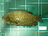  ( - CMGG-2012-409)  @13 [ ] CreativeCommons - Attribution Non-Commercial Share-Alike (2013) CMGG CMGG