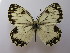  ( - ARSA-9999-001)  @14 [ ] Copyright (2009) Unspecified Unspecified