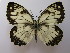  ( - ARSA-9999-002)  @14 [ ] Copyright (2009) Unspecified Unspecified