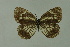  ( - DNAwthmel 139)  @13 [ ] Copyright (2009) Unspecified Unspecified