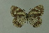  ( - DNAwthmel 139)  @13 [ ] Copyright (2009) Unspecified Unspecified