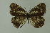  ( - DNAwthmel 140)  @13 [ ] Copyright (2009) Unspecified Unspecified