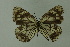  ( - DNAwthmel 140)  @13 [ ] Copyright (2009) Unspecified Unspecified