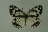  ( - DNAwthmel 141)  @13 [ ] Copyright (2009) Unspecified Unspecified