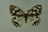  ( - DNAwthmel 143)  @13 [ ] Copyright (2009) Unspecified Unspecified
