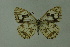  ( - DNAwthmel 143)  @13 [ ] Copyright (2009) Unspecified Unspecified