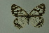  ( - DNAwthmel 144)  @13 [ ] Copyright (2009) Unspecified Unspecified