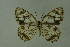  ( - DNAwthmel 144)  @13 [ ] Copyright (2009) Unspecified Unspecified