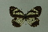  ( - DNAwthmel 146)  @13 [ ] Copyright (2009) Unspecified Unspecified