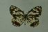  ( - DNAwthmel 146)  @13 [ ] Copyright (2009) Unspecified Unspecified