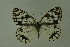  ( - DNAwthmel 147)  @13 [ ] Copyright (2009) Unspecified Unspecified