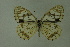  ( - DNAwthmel 147)  @13 [ ] Copyright (2009) Unspecified Unspecified