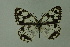  ( - DNAwthmel 148)  @13 [ ] Copyright (2009) Unspecified Unspecified