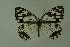  ( - DNAwthmel 149)  @13 [ ] Copyright (2009) Unspecified Unspecified