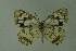  ( - DNAwthmel 149)  @13 [ ] Copyright (2009) Unspecified Unspecified