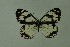  ( - DNAwthmel 150)  @13 [ ] Copyright (2009) Unspecified Unspecified