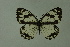  ( - DNAwthmel 151)  @13 [ ] Copyright (2009) Unspecified Unspecified