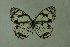  ( - DNAwthmel 151)  @13 [ ] Copyright (2009) Unspecified Unspecified