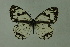  ( - DNAwthmel 152)  @13 [ ] Copyright (2009) Unspecified Unspecified