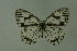  ( - DNAwthmel 152)  @13 [ ] Copyright (2009) Unspecified Unspecified