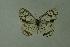  ( - DNAwthmel 160)  @13 [ ] Copyright (2009) Unspecified Unspecified