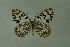 ( - DNAwthmel 164)  @13 [ ] Copyright (2009) Unspecified Unspecified